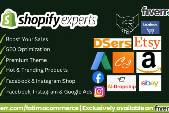 design a professional shopify dropshipping store