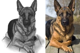 draw custom pet pencil portrait of your cat dog horse