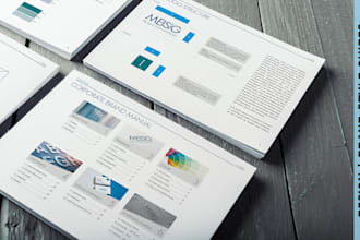 design your professional brand style guide and company logo