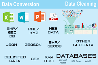 do data conversion and data cleaning