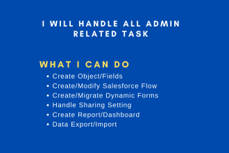 config admin and develop lightning component on salesforce