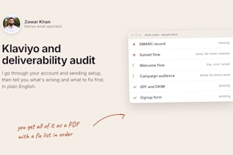 audit your klaviyo account and email deliverability for shopify brands