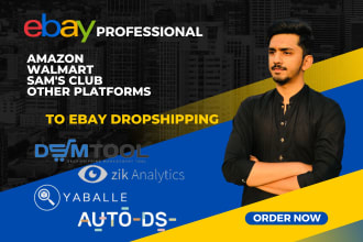 manage your ebay seller account for dropshipping as VA