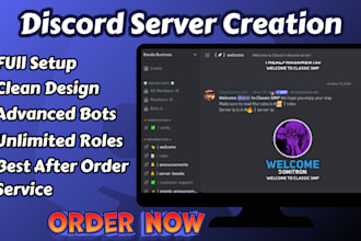 create and setup a professional discord server for you