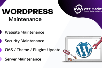 do website maintenance, speed optimization, security updates