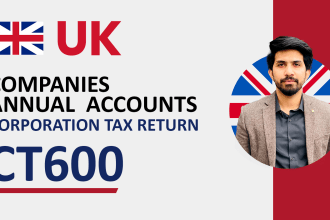 file company annual accounts and tax returns to hmrc and companies house