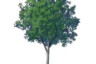 draw a tree nature in digital art