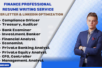 craft private equity resume, accountant, bank examiner, finance, corporate cv