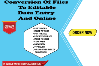 do dataentry,convert, image to word, PDF to word, rewrite
