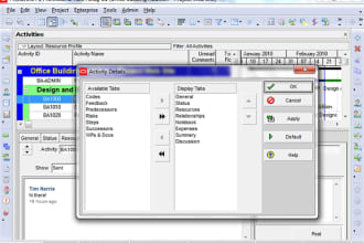 provide primavera P6 services at good quality and economical
