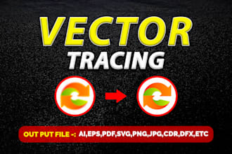 high quality manual vector tracing