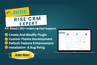 customization or bug fixing to rise CRM