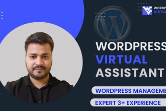 be your wordpress virtual assistant, data entry, content post