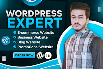 build perfect restaurant,food,catering, healthcare,logistics wordpress website