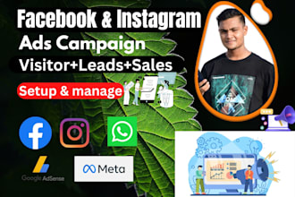 fix or setup facebook and instagram ads campaign