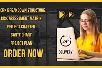 do all tasks on project management professionally
