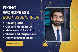 do wordpress website bug and issue resolution and optimization