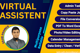 be your personal virtual assistant for data entry, web research, file conversion