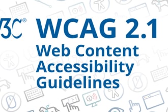 audit and generate web accessibility  wcag report of your website