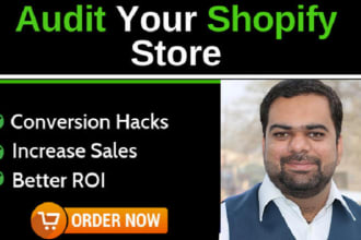 audit your shopify dropshipping store or shopify website
