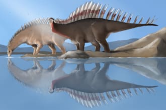 draw dinosaurs in every styles