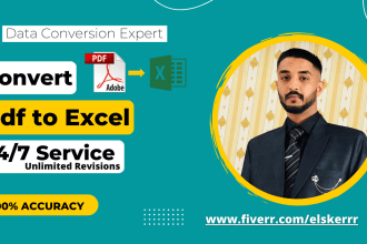 convert your pdf file into excel, data entry, copy paste