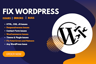 fix your wordpress website error