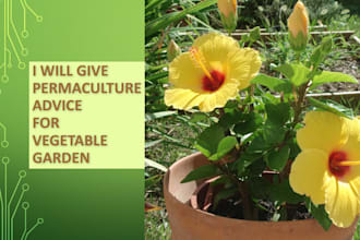 advice for vegetable garden, with permaculture
