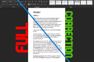 correct your french book, novel, ebook