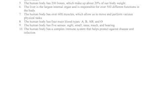 write a youtube script for you
