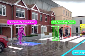 do professional data annotation, image annotation