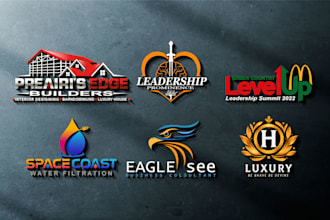 create a beautiful and professional logo design