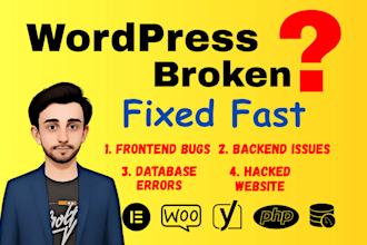 fix wordpress frontend, backend and database bugs fast