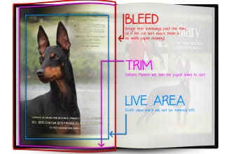 add bleed and crop and provide print ready file