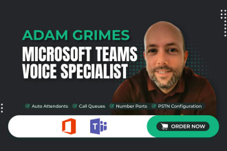 expertly setup microsoft teams phone system