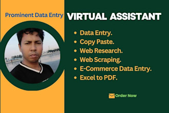 prominent data entry  data collection, copy paste work