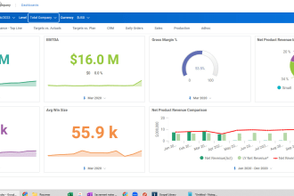 workday adaptive planning consulting