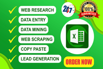 do excel data entry, data typing, merge and organize big data files