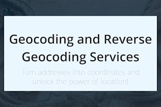 professional geocoding and reverse geocoding services