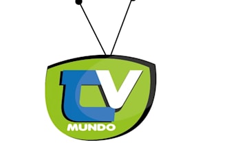 do high quality tv logo for your business