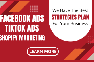 setup facebook ads, instagram ads, tiktok ads for your shopify store promotion