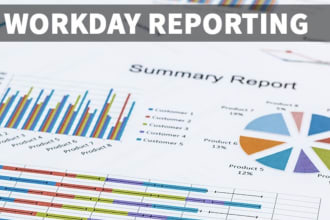 provide immediate solution on workday reporting