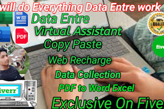 do professional data entre,copy paste,web recharge,youtube