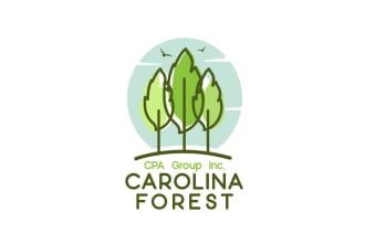 design luxury CPA group inc business logo and branding kit
