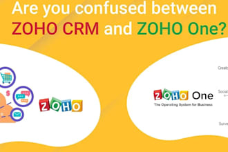 your consultant for zoho application