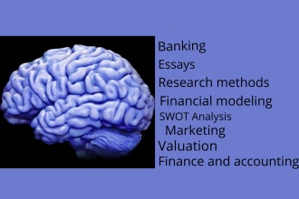 do financial modelling, swot analysis, market research