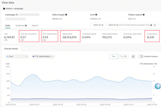 create tiktok ads and bc worldwide targeting