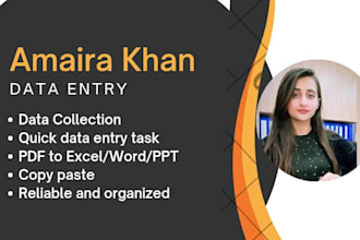 be your professional data entry assistant pakistan