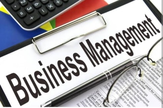 assist with essays on business management