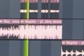 make a vocal chop out of your vocals for hooks or drops
